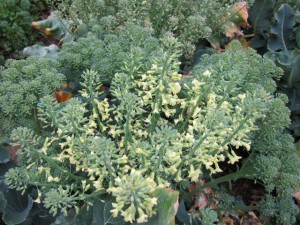 �摜(300x225)�E�g��摜(640x480)