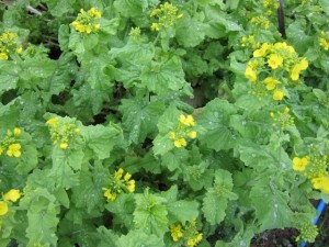 �摜(300x225)�E�g��摜(640x480)