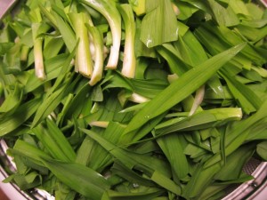 �摜(300x225)�E�g��摜(640x480)