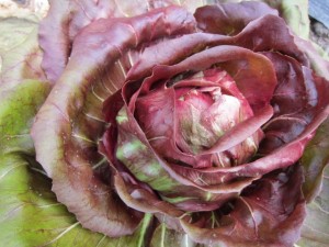 �摜(300x225)�E�g��摜(640x480)