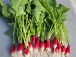 �摜(300x225)�E�g��摜(640x480)