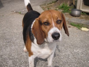 �摜(300x225)�E�g��摜(640x480)