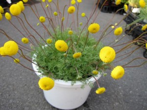 �摜(300x225)�E�g��摜(640x480)