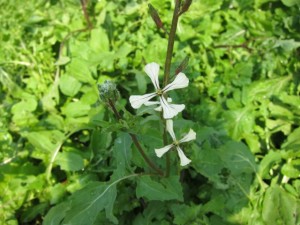 �摜(300x225)�E�g��摜(640x480)