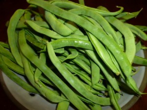 �摜(300x225)�E�g��摜(480x360)