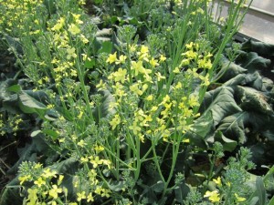 �摜(300x225)�E�g��摜(640x480)