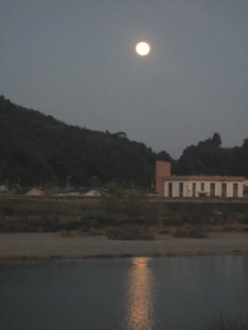 �摜(225x300)�E�g��摜(255x340)