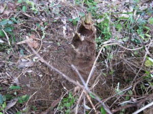 �摜(300x225)�E�g��摜(640x480)