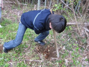 �摜(300x225)�E�g��摜(640x480)