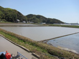 �摜(300x225)�E�g��摜(640x480)