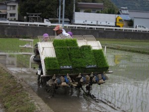 �摜(300x225)�E�g��摜(640x480)