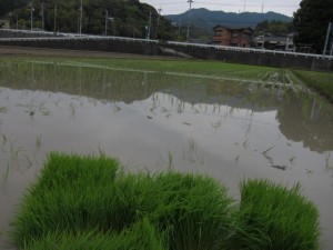 �摜(300x225)�E�g��摜(640x480)