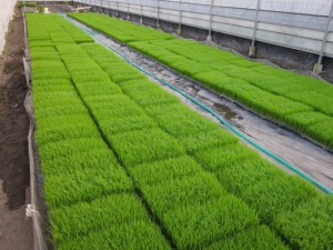 �摜(300x225)�E�g��摜(640x480)