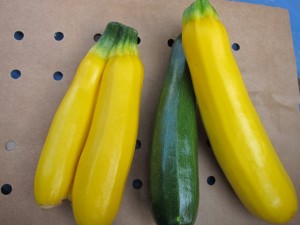 �摜(300x225)�E�g��摜(640x480)