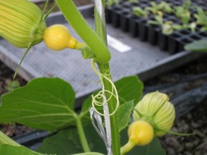 �摜(300x225)�E�g��摜(640x480)