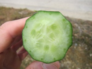 �摜(300x225)�E�g��摜(640x480)