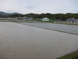 �摜(300x225)�E�g��摜(640x480)