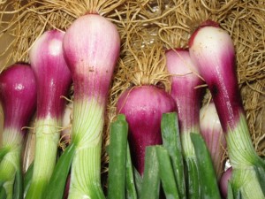 画像(300x225)・拡大画像(640x480)