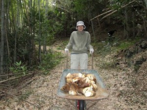 �摜(300x225)�E�g��摜(640x480)