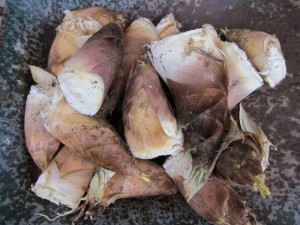 �摜(300x225)�E�g��摜(640x480)