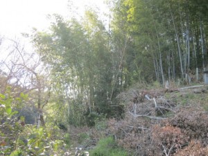 �摜(300x225)�E�g��摜(640x480)