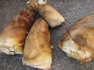 �摜(300x225)�E�g��摜(640x480)