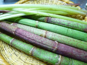 �摜(300x225)�E�g��摜(480x360)