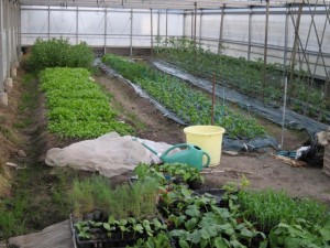 画像(300x225)・拡大画像(640x480)