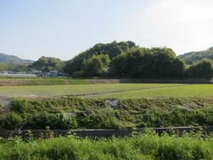 画像(300x225)・拡大画像(640x480)