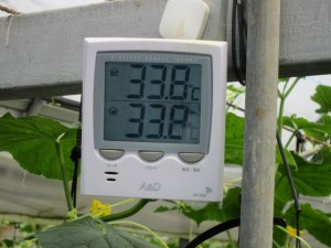 画像(300x225)・拡大画像(640x480)