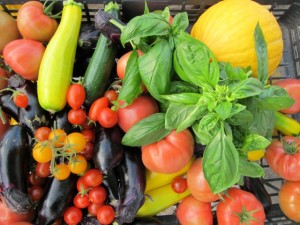 画像(300x225)・拡大画像(640x480)