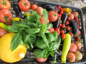 画像(300x225)・拡大画像(640x480)