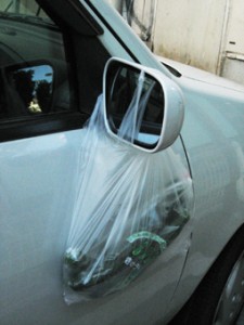 画像(225x300)・拡大画像(255x340)