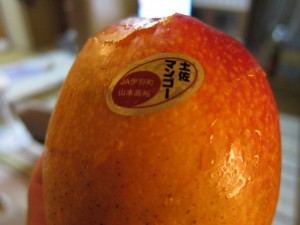 �摜(300x225)�E�g��摜(640x480)