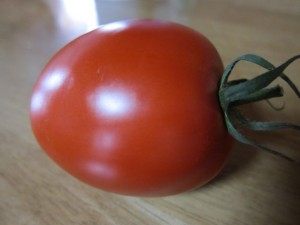 �摜(300x225)�E�g��摜(640x480)