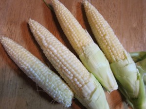 画像(300x225)・拡大画像(640x480)