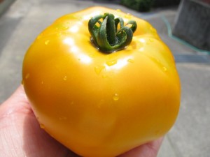 画像(300x225)・拡大画像(640x480)