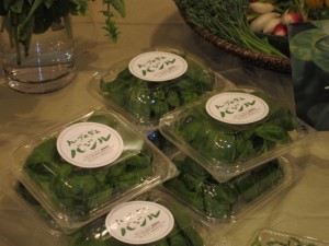 画像(300x225)・拡大画像(640x480)