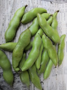 画像(225x300)・拡大画像(480x640)