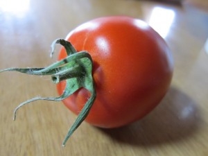 �摜(300x225)�E�g��摜(640x480)