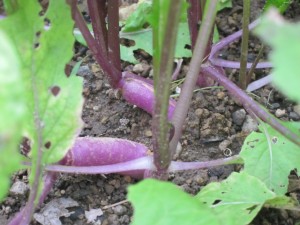 �摜(300x225)�E�g��摜(640x480)