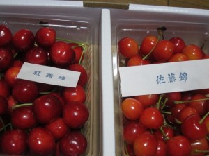 �摜(300x225)�E�g��摜(640x480)