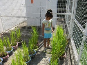 �摜(300x225)�E�g��摜(640x480)