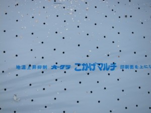 画像(300x225)・拡大画像(640x480)