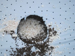 画像(300x225)・拡大画像(640x480)