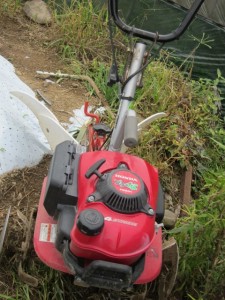 画像(225x300)・拡大画像(480x640)