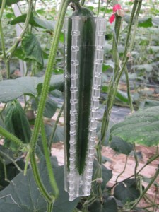 画像(225x300)・拡大画像(480x640)