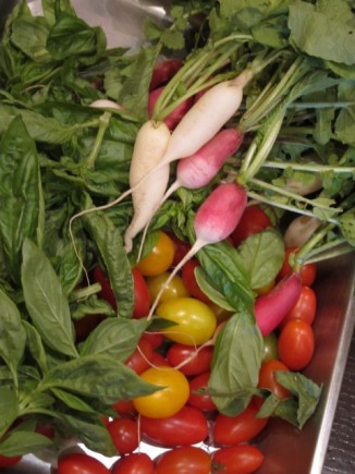 画像(326x435)・拡大画像(480x640)