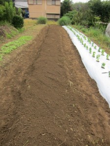 画像(225x300)・拡大画像(480x640)