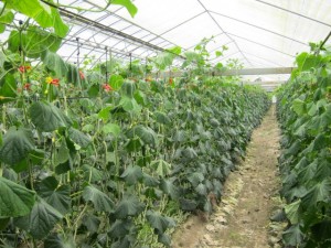 �摜(300x225)�E�g��摜(640x480)